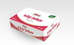 ALTUNSEKER 004