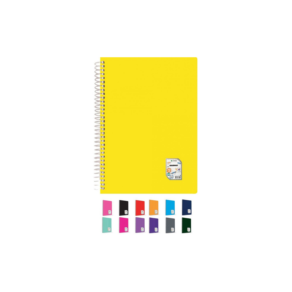 Çınar Defter Okul Defteri Colormaxi Spiralli Pp Kapak A4 120 Yaprak Kareli