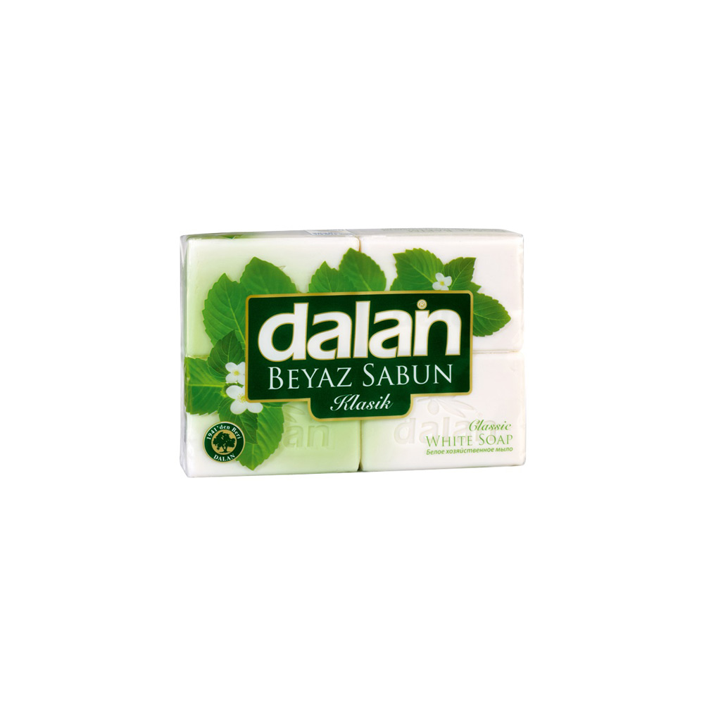 DALAN 1843